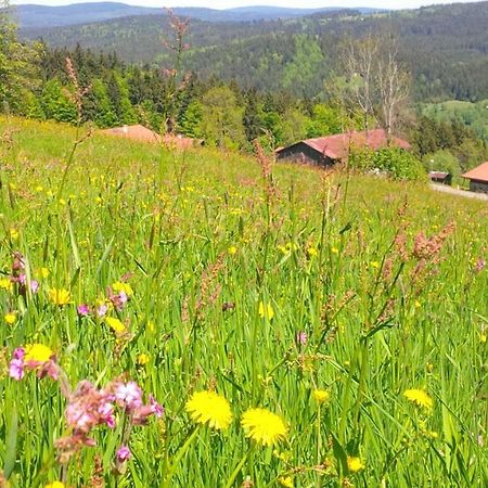 Appartamento Apartman Sumava - Bavorsky Les Mitterfirmiansreut Esterno foto