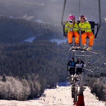 Appartamento Apartman Sumava - Bavorsky Les Mitterfirmiansreut Esterno foto